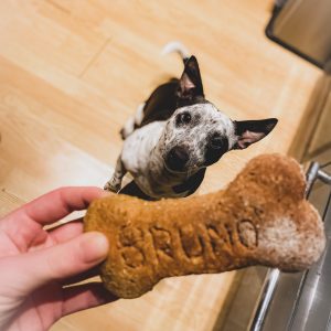 Waggle Mail - Homemade Dog Treats - Bruno