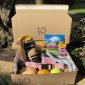 Monthly dog Subscription Box Waggle Mail Large Dog Gifts