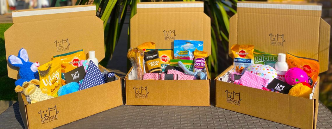 Cheap Dog Subscription Box Quality Waggle Mail