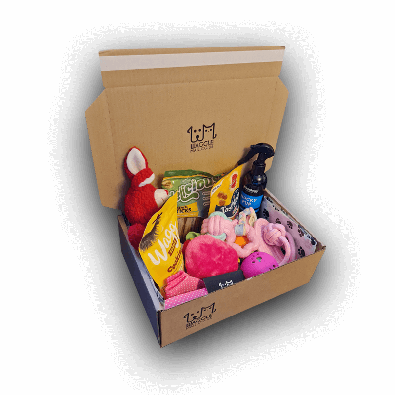 Puppy Box UK Puppy Toys & Treats Box FREE Delivery Waggle Mail