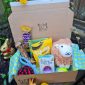 Waggle Mail Dog Easter Box/ Dog Easter Gift Box